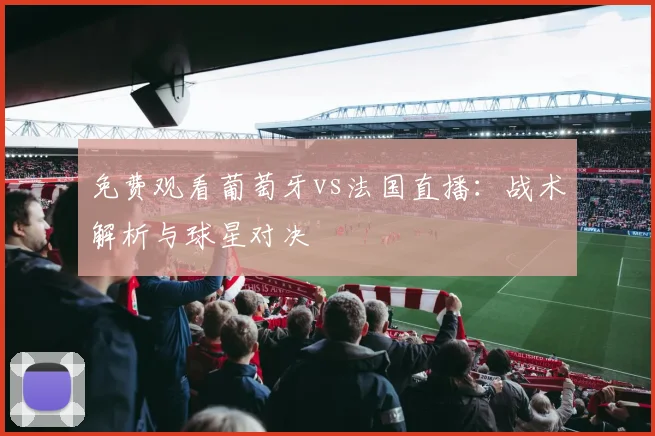 免费观看葡萄牙vs法国直播：战术解析与球星对决