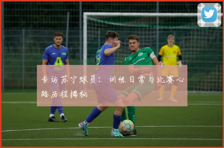 专访苏宁球员：训练日常与比赛心路历程揭秘